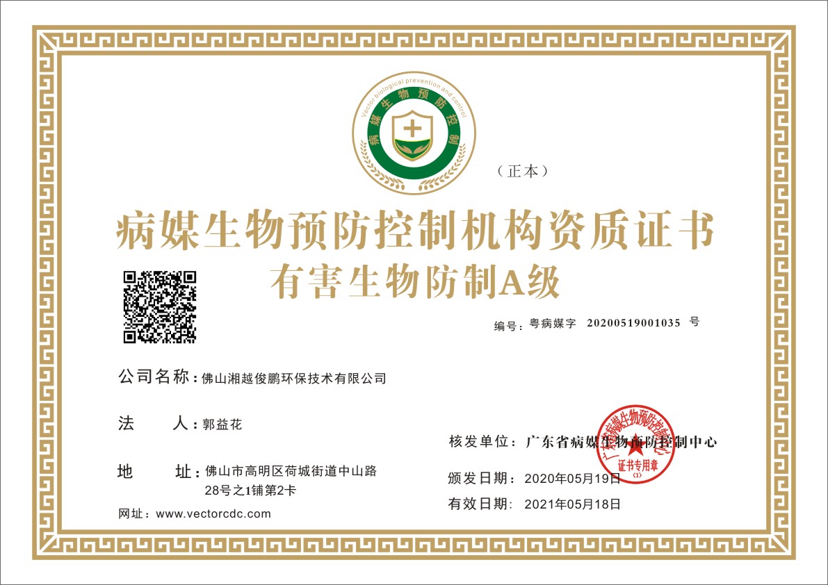 荣誉资质证书