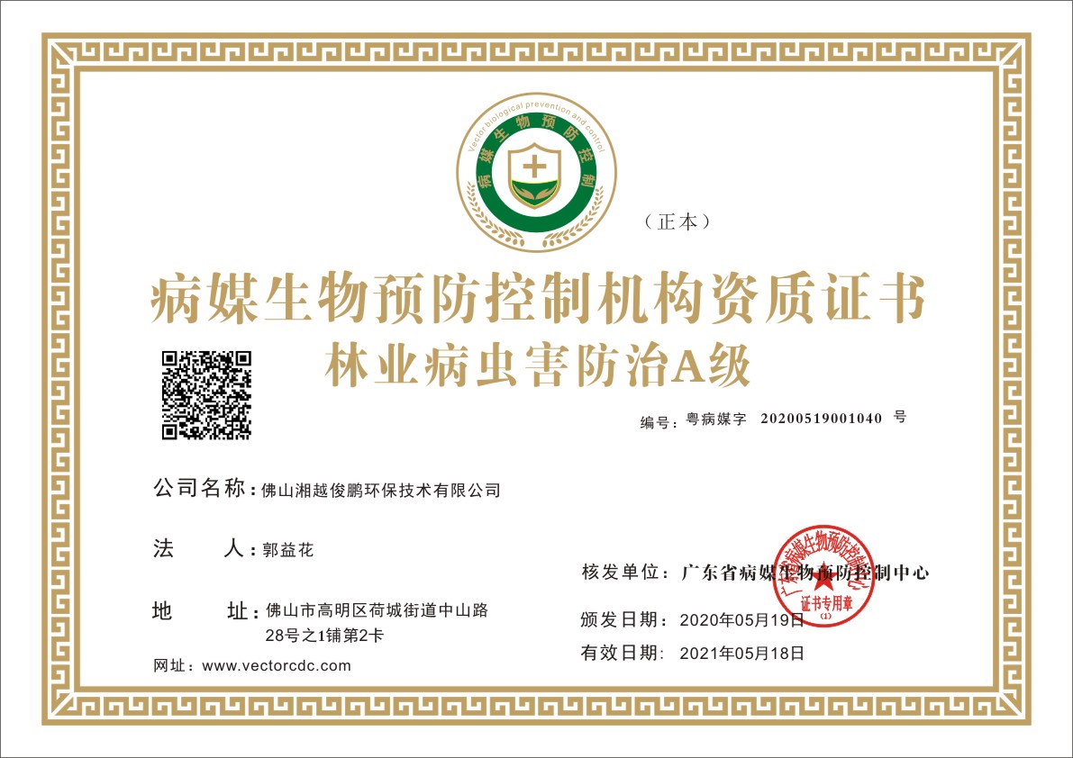 荣誉资质证书