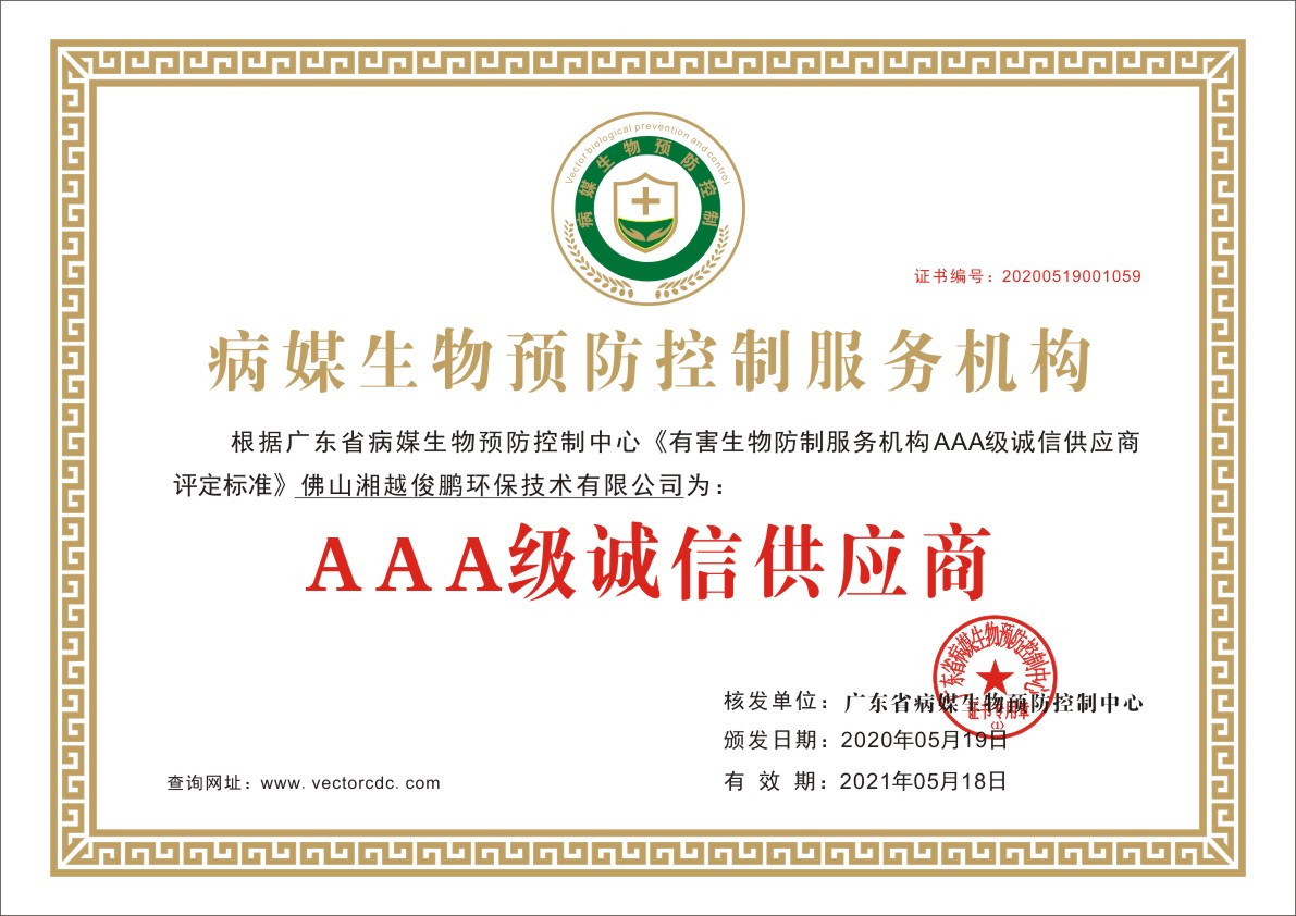 荣誉资质证书