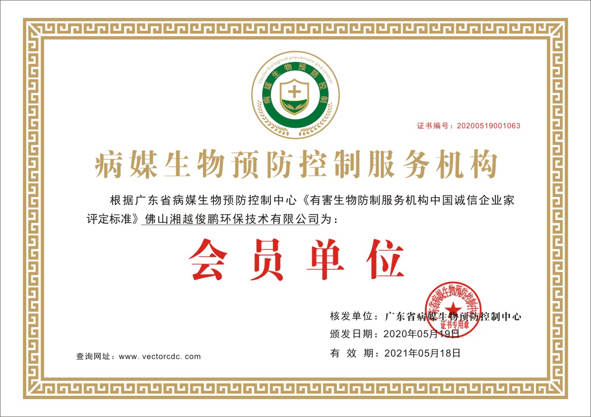 荣誉资质证书