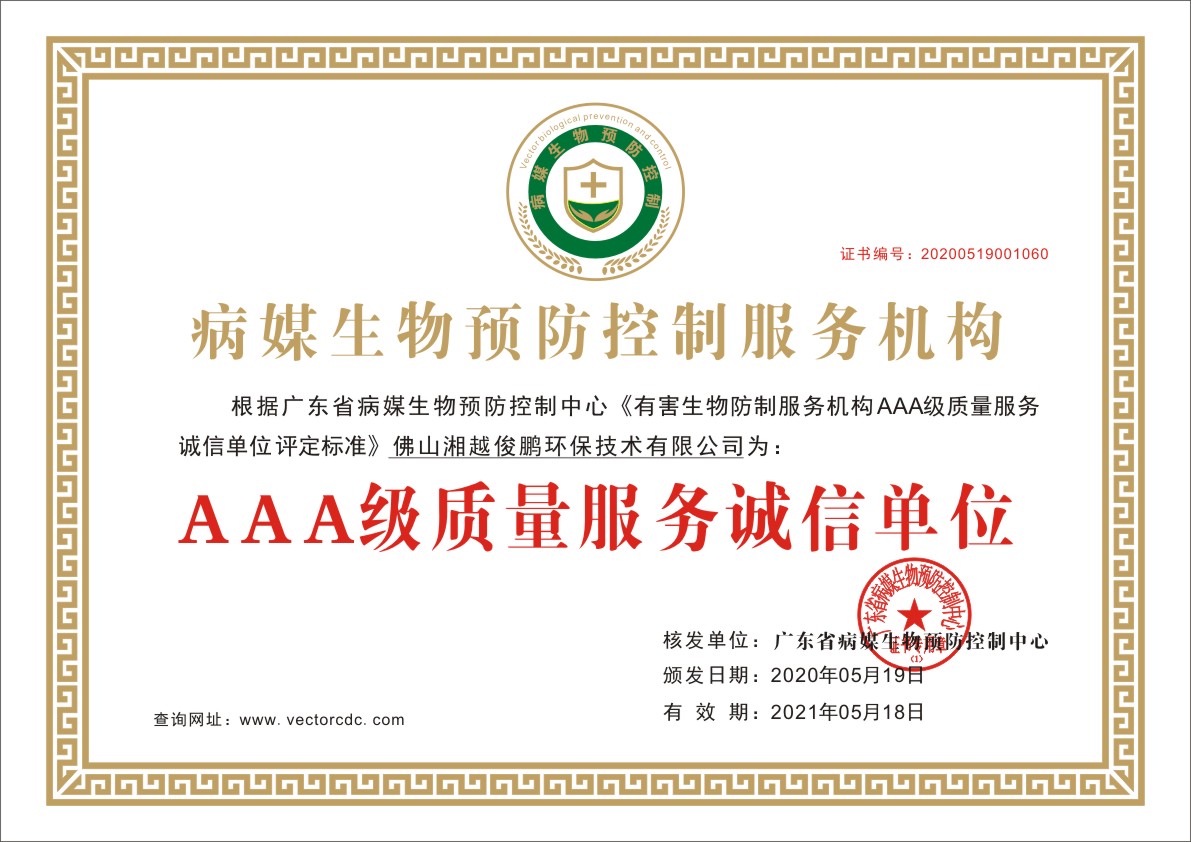 荣誉资质证书