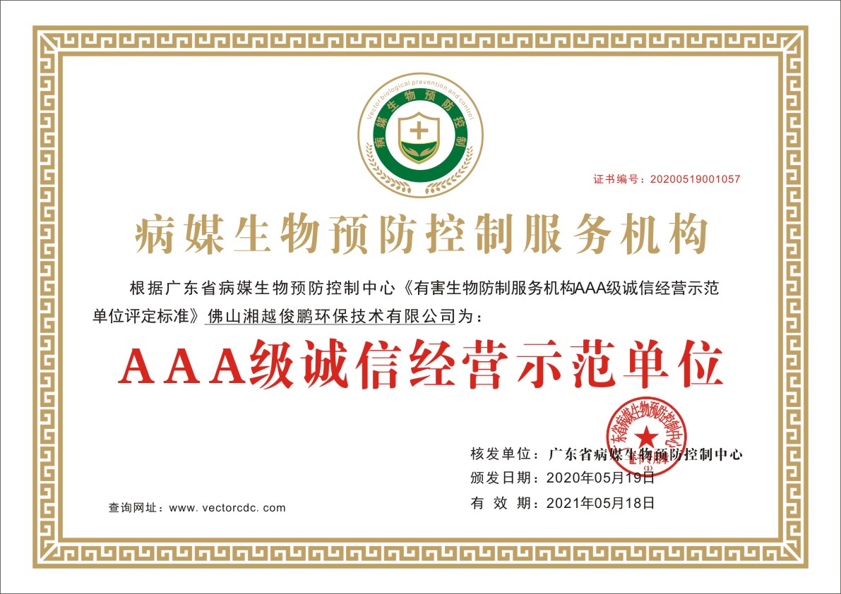 荣誉资质证书