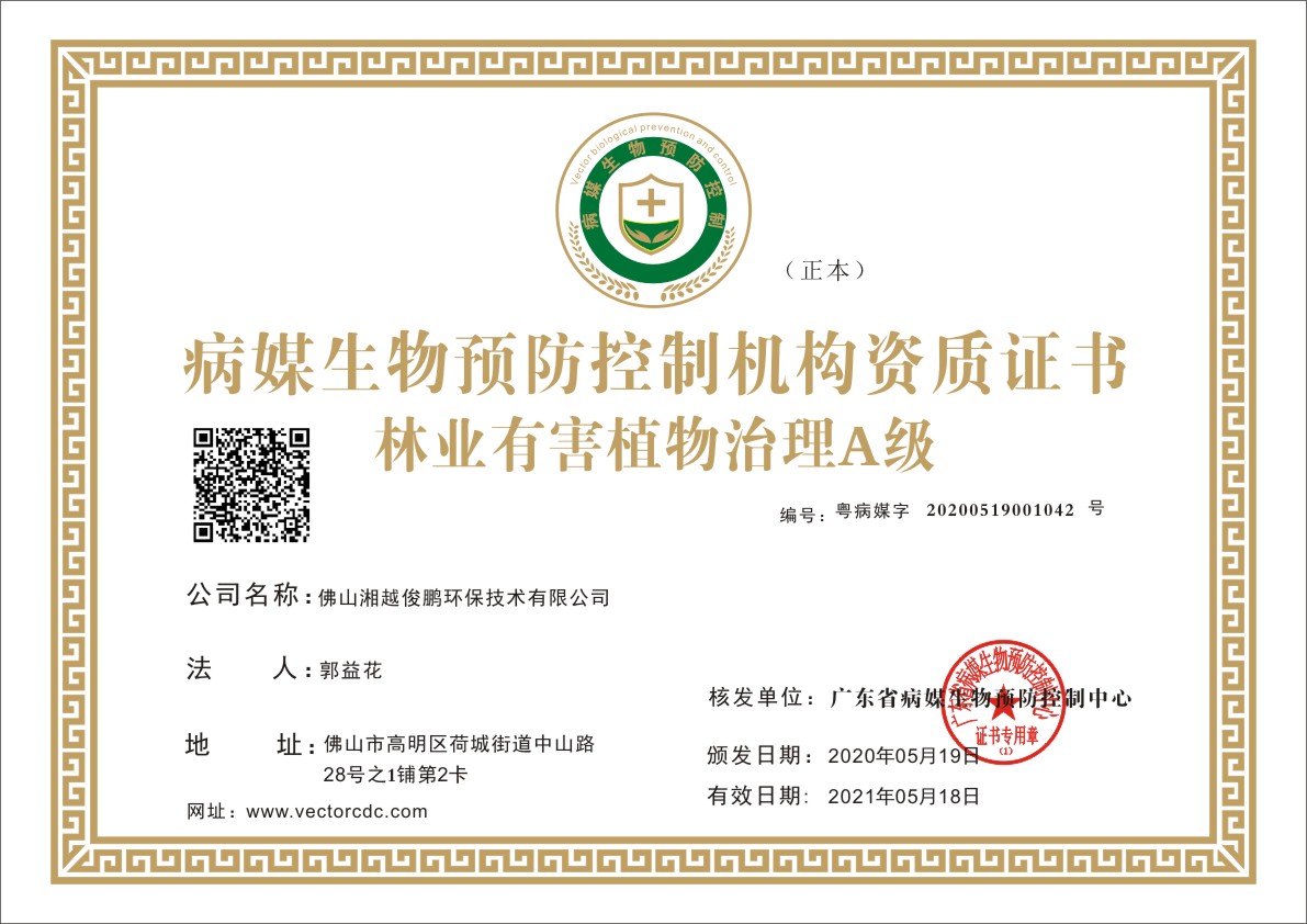 荣誉资质证书