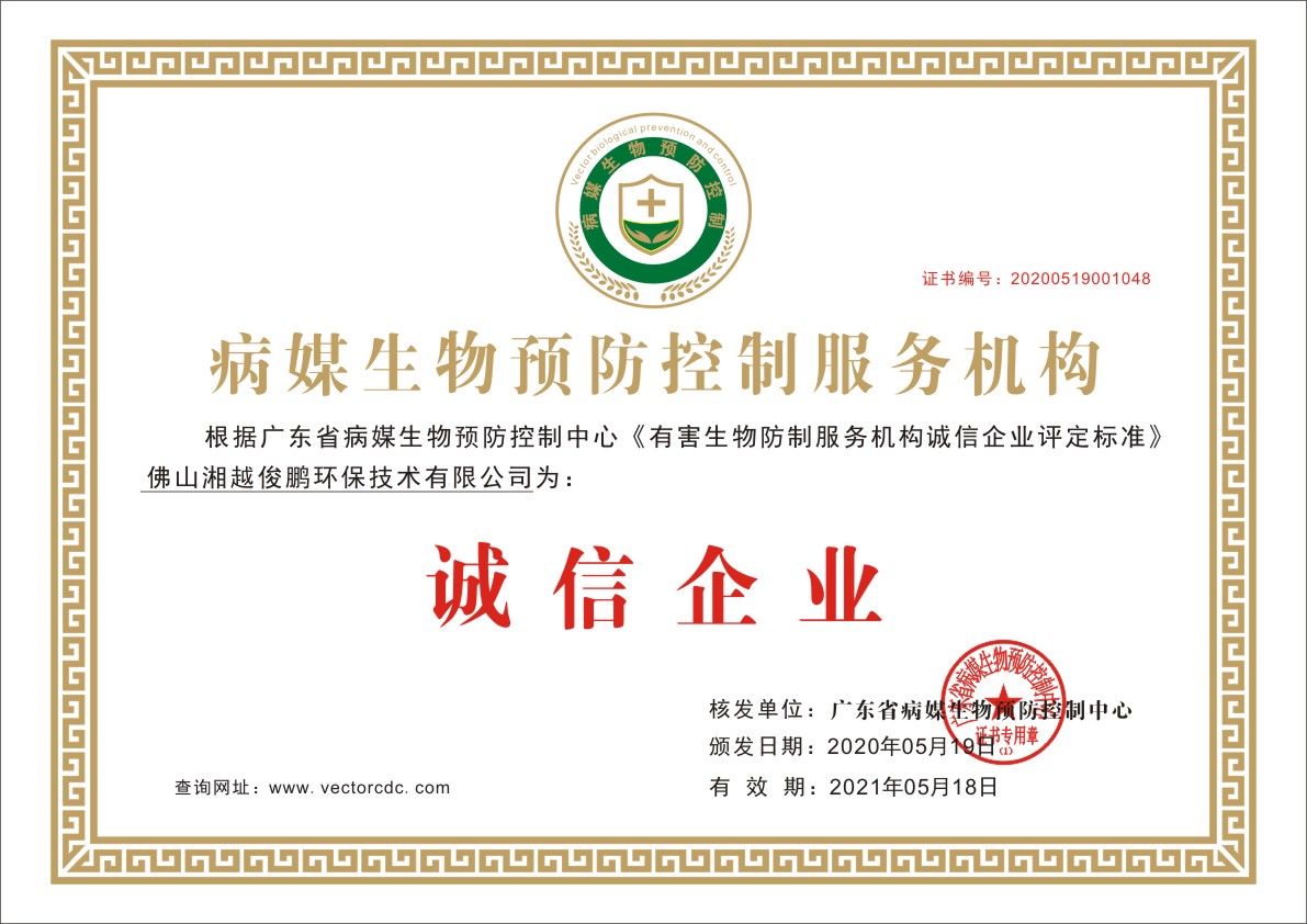 荣誉资质证书