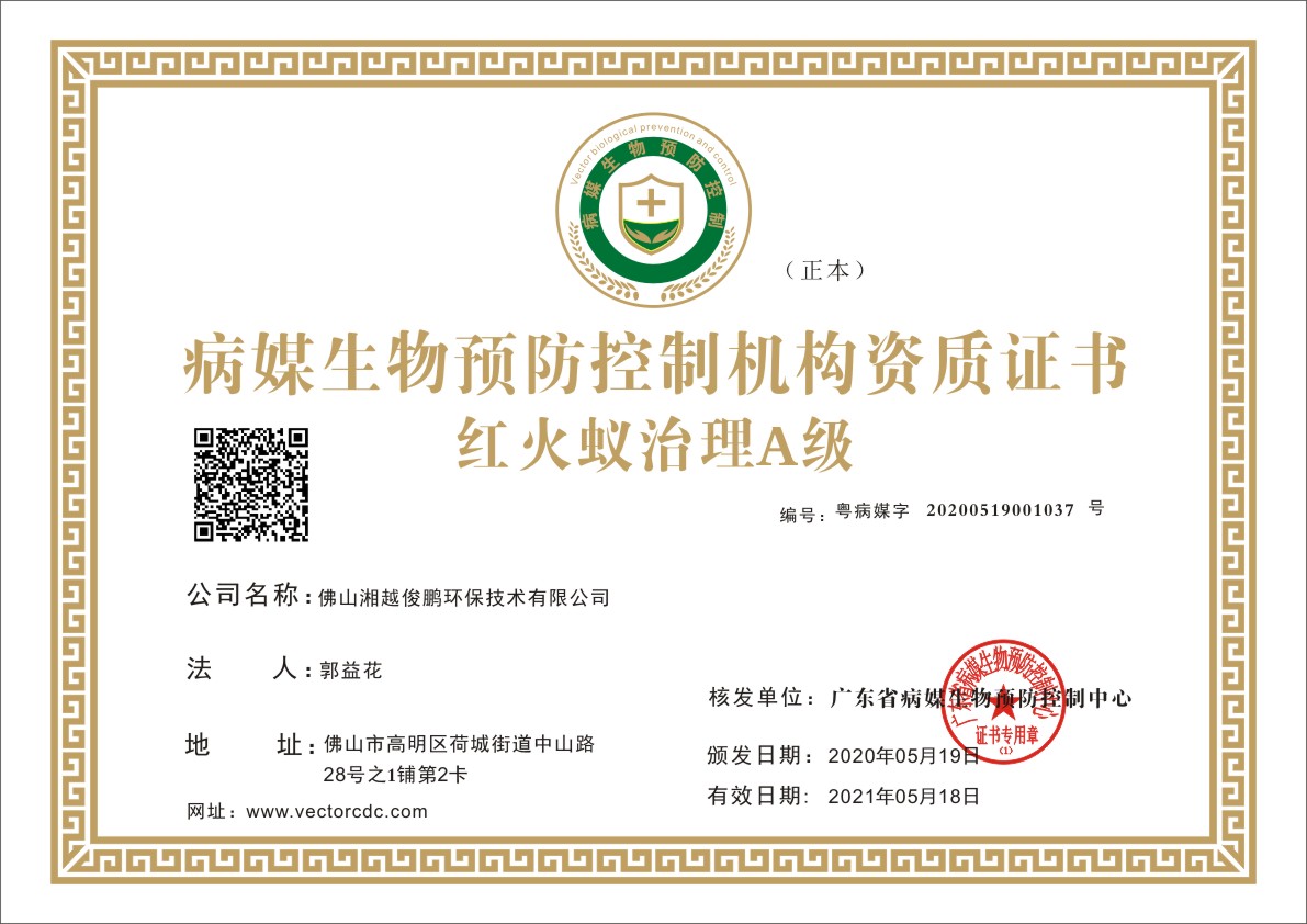荣誉资质证书